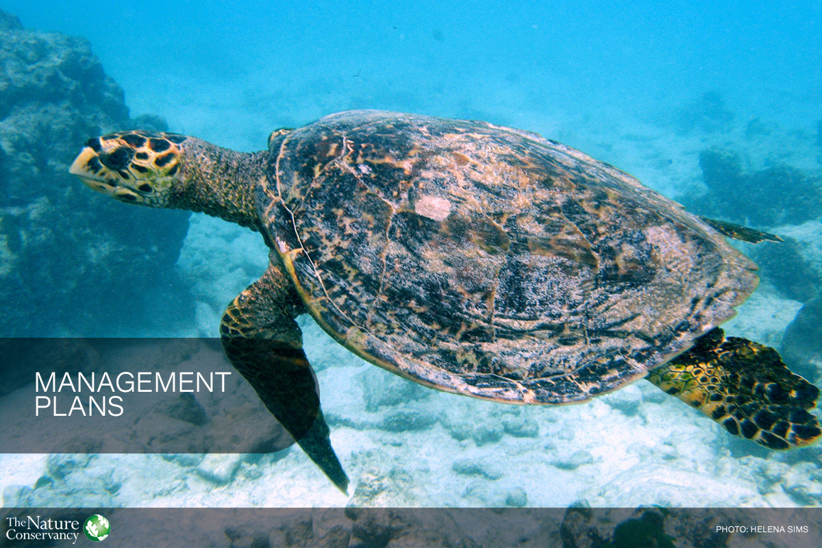 30% Marine Protected Areas in Seychelles
