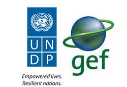 UNDP-GEF