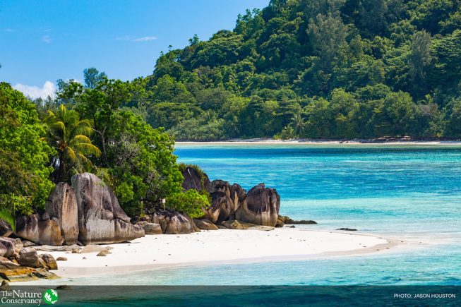 Consultancy: 5-year strategy for TNC in Seychelles