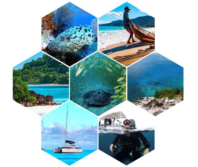 Ecosystem Services Report - Seychelles Marine Spatial Plan Initiative