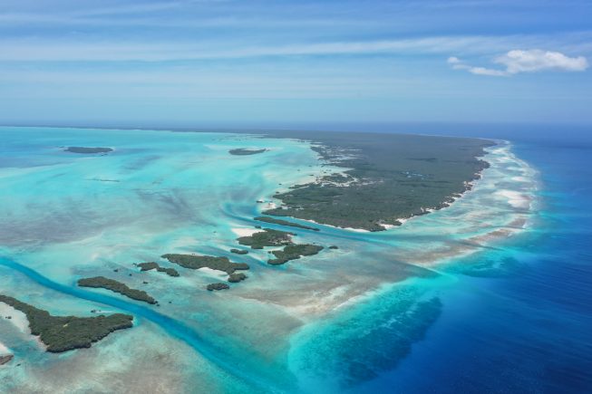 Coral superhighway in the Indian Ocean